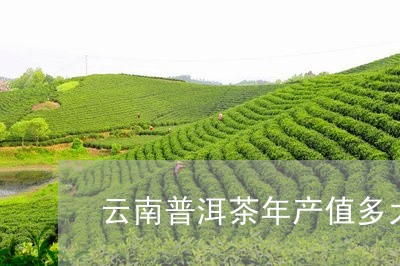 云南普洱茶年产值多大/2023062327361