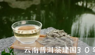 云南普洱茶建国30年的/2023122033647