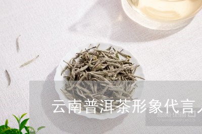 云南普洱茶形象代言人/2023092968059