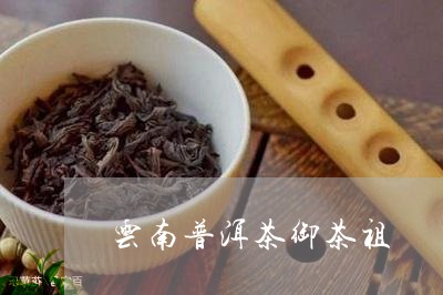 云南普洱茶御茶祖/2023112538392