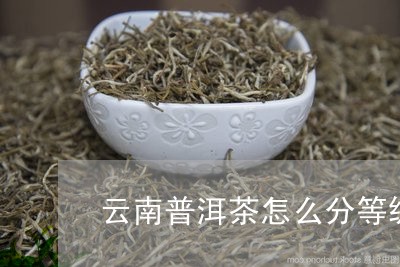 云南普洱茶怎么分等级/2023062005260