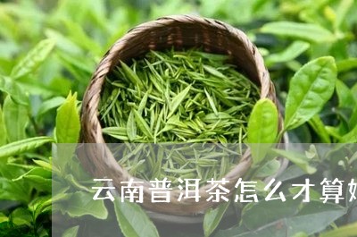 云南普洱茶怎么才算好/2023080359592