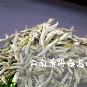 云南普洱茶怎么找货源/2023111024060