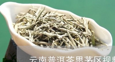 云南普洱茶思茅区视频/2023080150595