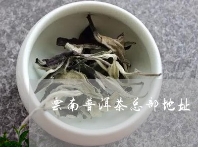 云南普洱茶总部地址/2023091405140