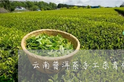 云南普洱茶手工杀青视频/2023120763605