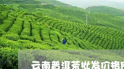 云南普洱茶批发价格网/2023061451623