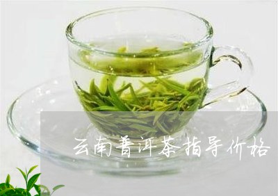 云南普洱茶指导价格/2023071171604