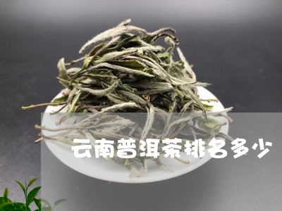 云南普洱茶排名多少/2023091453825