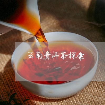 云南普洱茶探索/2023120391938