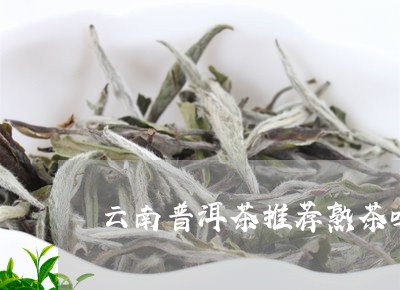 云南普洱茶推荐熟茶吗/2023082838492