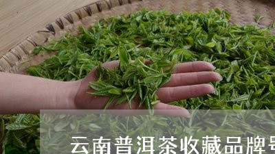 云南普洱茶收藏品牌号查询/2023110482715