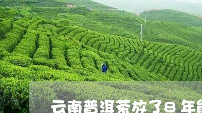 云南普洱茶放了8年能喝吗/2023112462638