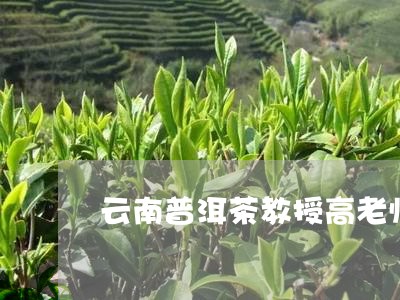 云南普洱茶教授高老师/2023062517260