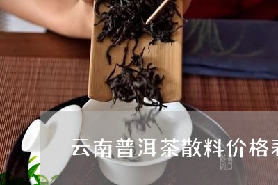 云南普洱茶散料价格表和图片/2023110526260