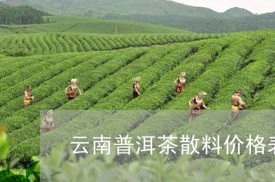 云南普洱茶散料价格表图片/2023082813816