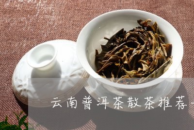 云南普洱茶散茶推荐一下/2023081727584