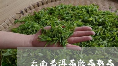 云南普洱茶散茶熟茶/2023112548359