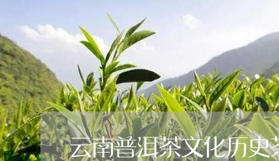 云南普洱茶文化历史茶马/2023082826049