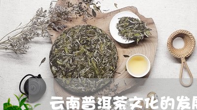 云南普洱茶文化的发展/2023061404162