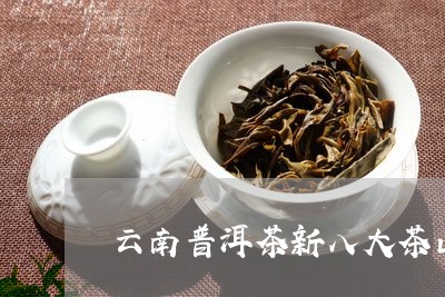 云南普洱茶新八大茶山/2023061581925