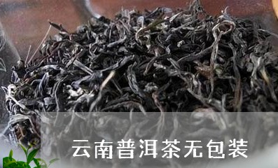 云南普洱茶无包装/2023082833826