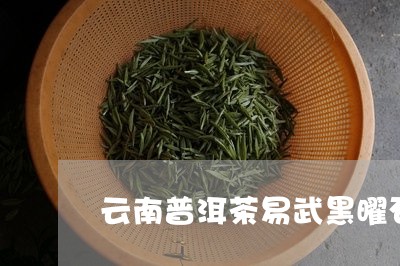 云南普洱茶易武黑曜石/2023080306269