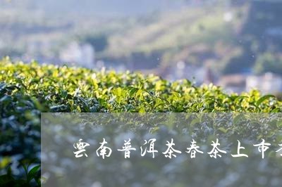 云南普洱茶春茶上市季节/2023082817394