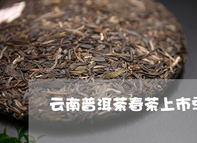 云南普洱茶春茶上市季节是几月/2023110575838