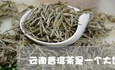 云南普洱茶是一个大饼/2023120752714