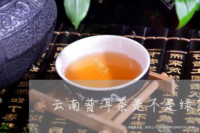 云南普洱茶是不是绿茶的一种/2023082852948