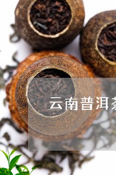 云南普洱茶是产地分布/2023100882815