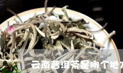 云南普洱茶是哪个地方/2023062763258