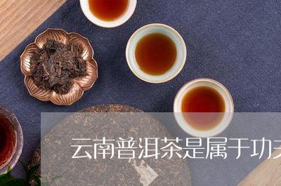 云南普洱茶是属于功夫茶吗/2023110257260