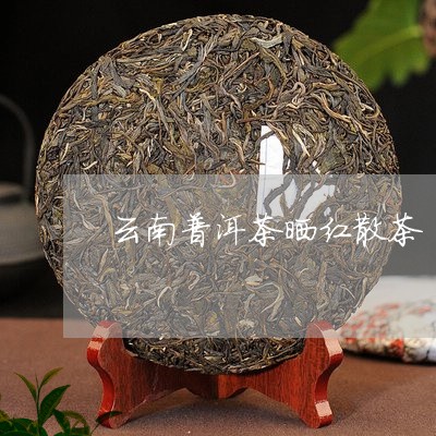 云南普洱茶晒红散茶/2023120577348