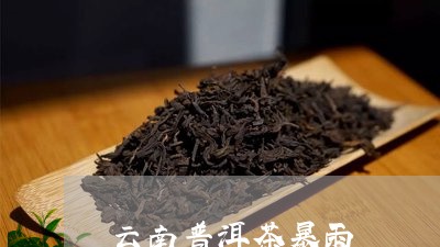 云南普洱茶暴雨/2023102694838