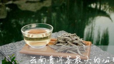 云南普洱茶最大的公司/2023062703260