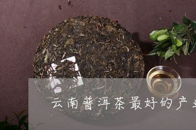 云南普洱茶最好的产业/2023062704727