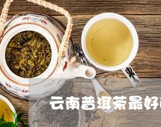 云南普洱茶最好的地方/2023080222045