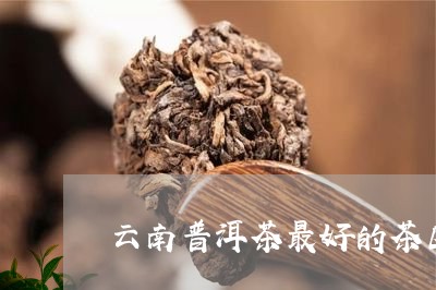 云南普洱茶最好的茶区/2023100874170