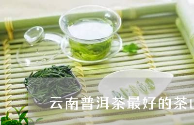 云南普洱茶最好的茶山/2023080193715