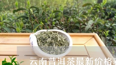 云南普洱茶最新价格表/2023092976271