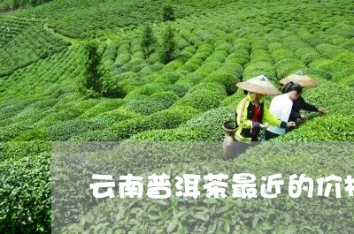 云南普洱茶最近的价格/2023080321835