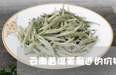 云南普洱茶最近的价格/2023100823505