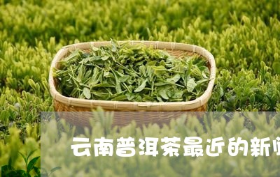 云南普洱茶最近的新闻/2023100753815