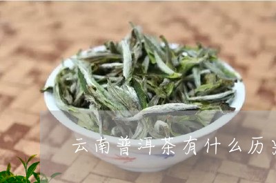 云南普洱茶有什么历史/2023080322926