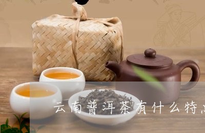 云南普洱茶有什么特点吗/2023110141404