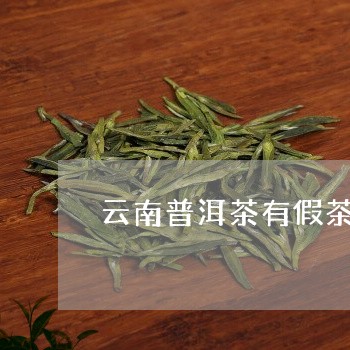 云南普洱茶有假茶吗/2023091453018