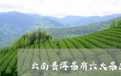 云南普洱茶有六大茶区/2023062140482