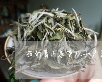 云南普洱茶有几大产区/2023100532828